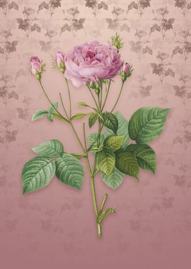 Vintage Pink French Roses