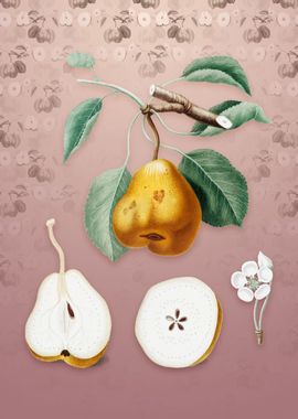 Vintage Pear on Dusty Pink