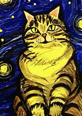 Starry Night Cat 4