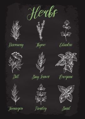 Herbs and Spices Guide