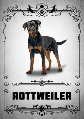 Rottweiler