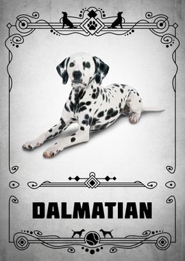 Dalmatian