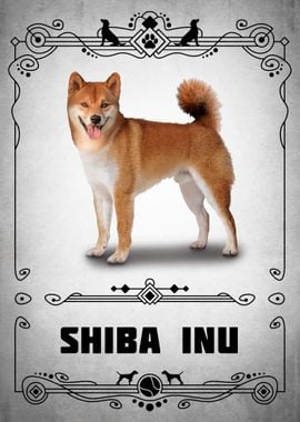 Shiba Inu