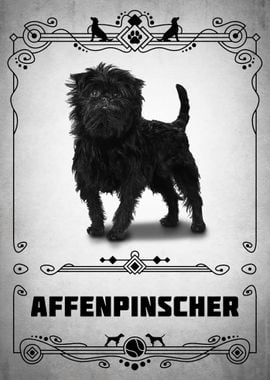 Affenpinscher