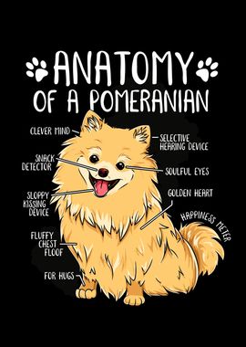 Anatomy of Dog