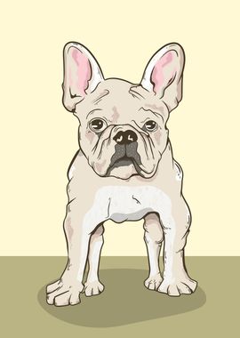 Cream French Bulldog