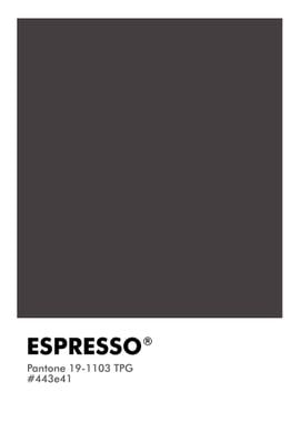 PANTONE ESPRESSO