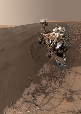 Curiosity selfie