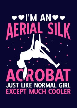 Aerial Silk Acrobat