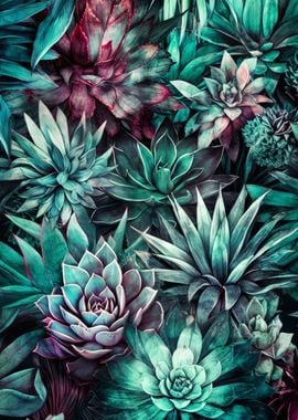 Succulents plant art