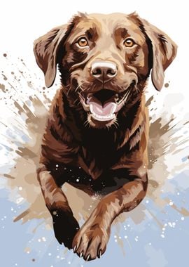 Brown Labrador Retriever