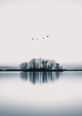 Birds Over Lake