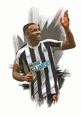 Callum Wilson Canvas