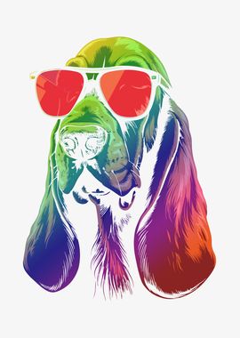 Basset Hound Sunglasses