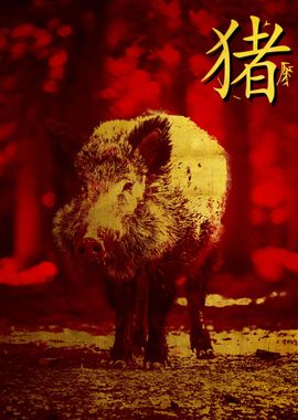 Chinese Zodiac Pig