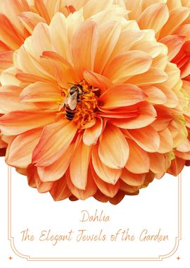 Dahlia Elegant Jewels