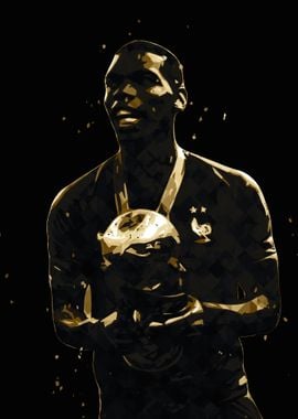 Paul Pogba France