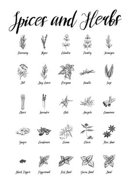 Spices and Herbs Guide