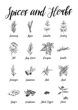 Spices Herbs Guide Types