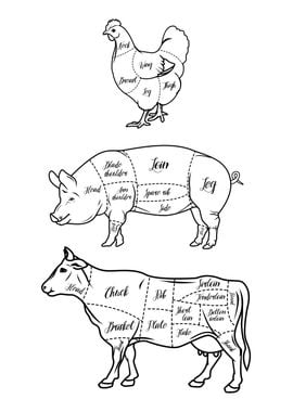 Butcher Cuts Guide