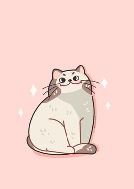 cute meme cat with soft 