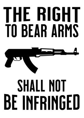 RIGHT TO BEAR ARMS GREY