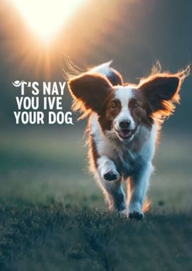 Animal Dog Quote funny