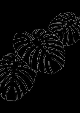 Line Art Three Monstera