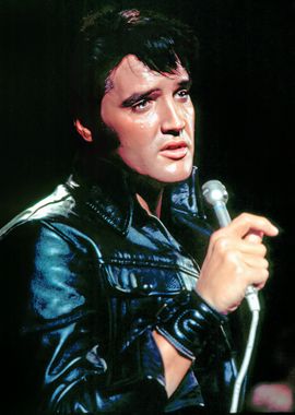 Elvis Presley photo 31