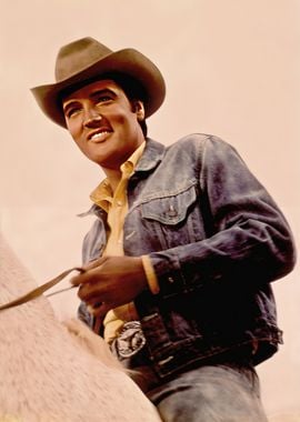 Elvis Presley photo 10