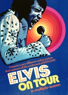 Elvis On Tour