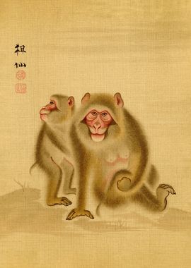 Japanese monkey 