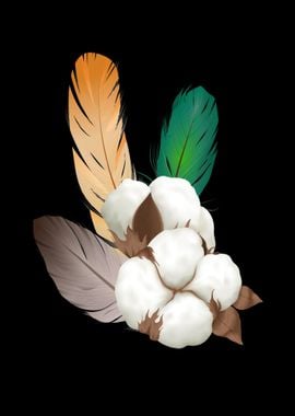 Cotton and feathers