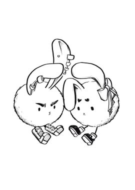 Opposite Twin Bunnies