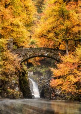 Hermitage Dunkeld