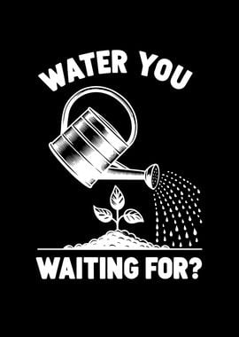 Water You Waiting For