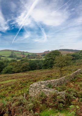 Bright Countryside Skies