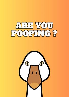 Duck Are you pooping Goose