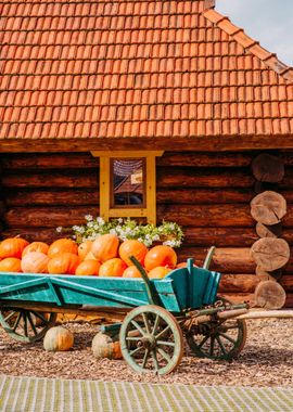 pumpkins nature aesthetic