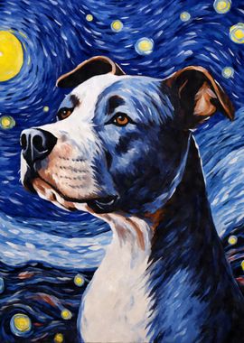 Amstaff Starry Night