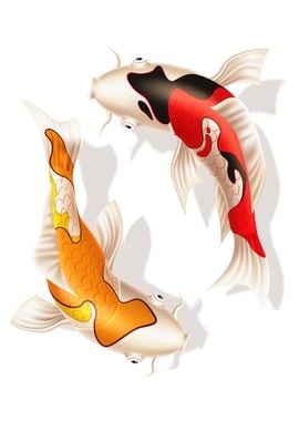 japanese koi