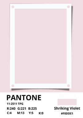 PANTONE Shriking violet