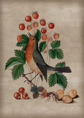 Robin and Berries