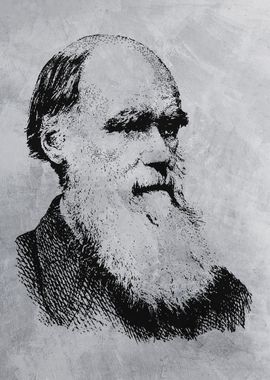 darwin stencil art