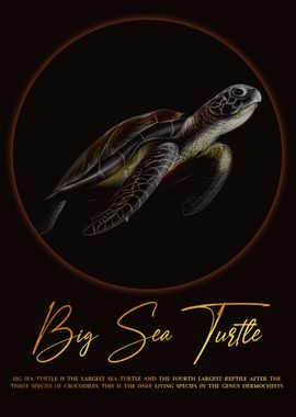 Big Sea Turtle