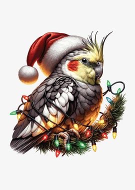 Cockatiel Santa Hat Xmas