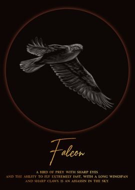 Falcon