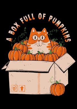 A Box Full of Pumpkins