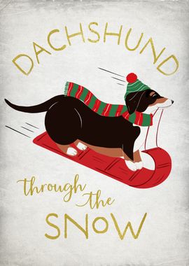 Dachshund through the snow