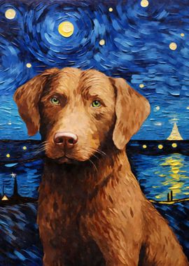 Chesapeake Bay Retriever